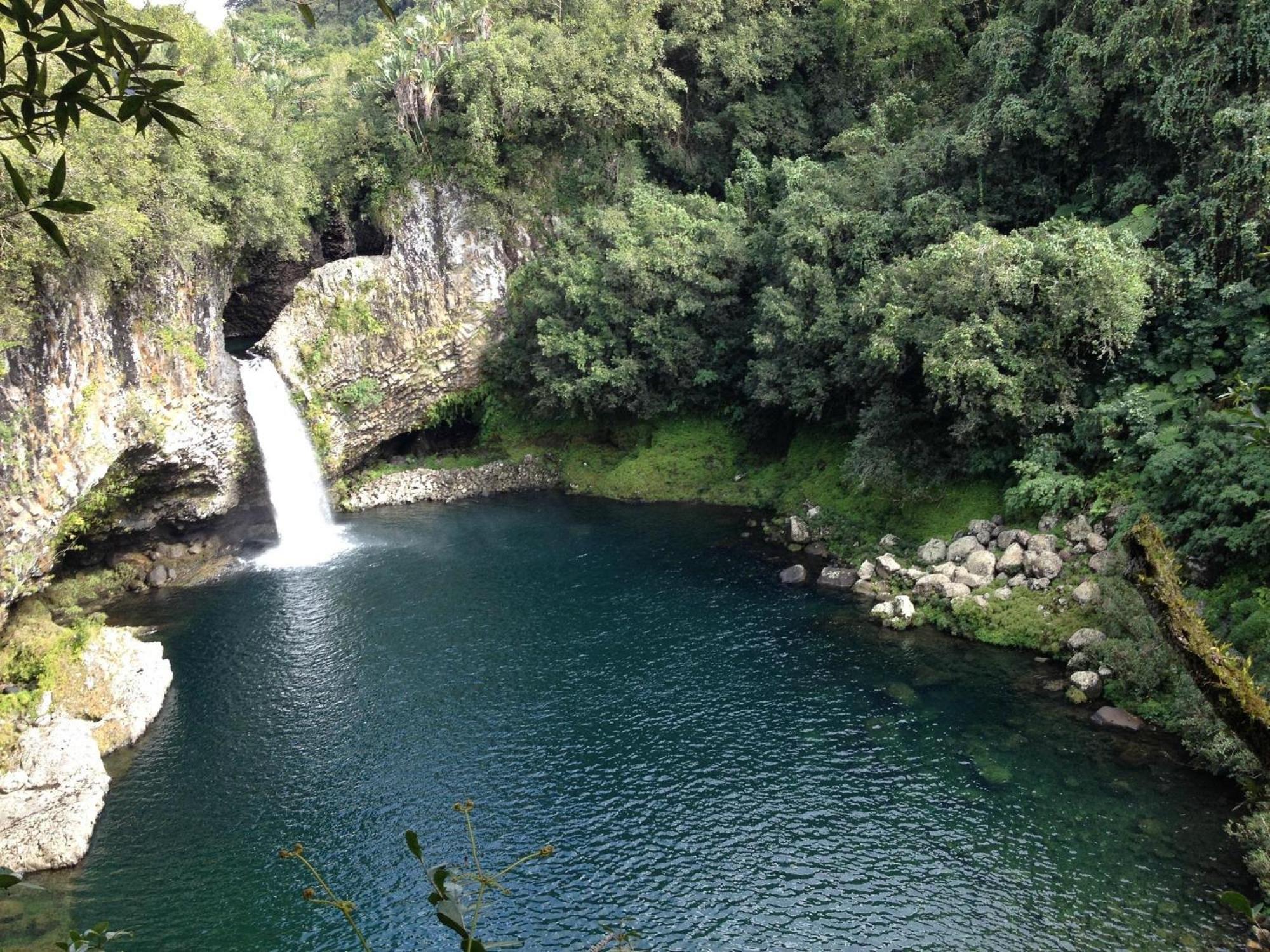 Le Beau Vallon 1- Jacuzzi Privatif Et Piscine Chauffee Partagee Saint-Benoît Exterior foto